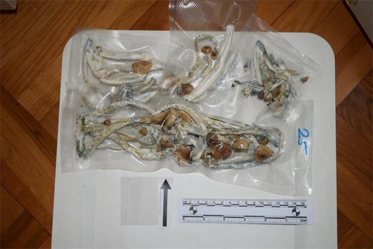 Slika /PU_KA/PU_info/2025/Droga_PU_Jutt_25_06_25/7.jpg